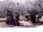 Bethlehem in 2005 - 50